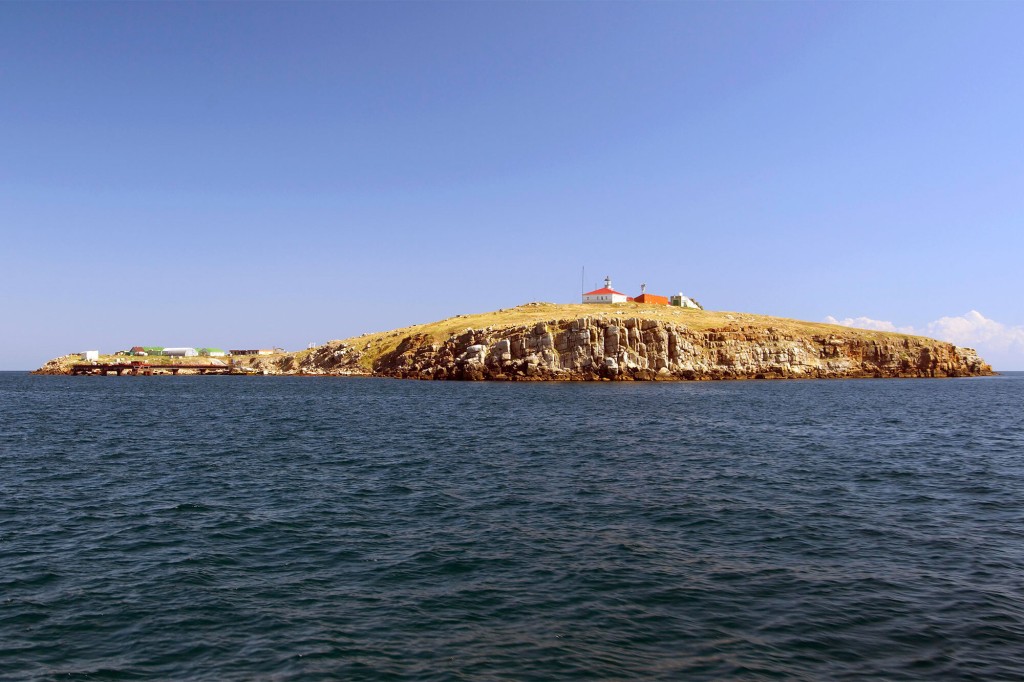 Zmini Island, Snake Island